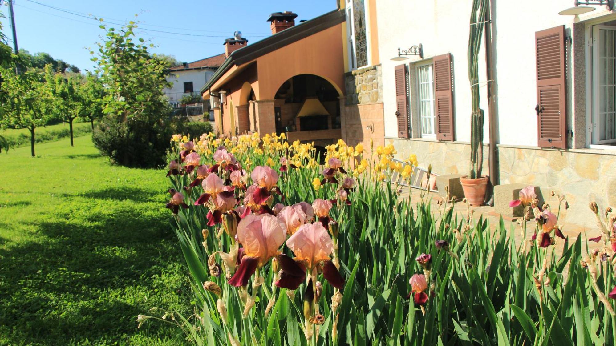 Casa Vacanze Ester Polverara ภายนอก รูปภาพ